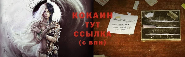 стафф Аркадак