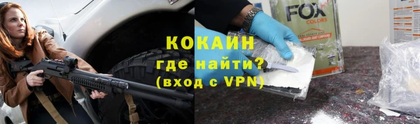 стафф Аркадак