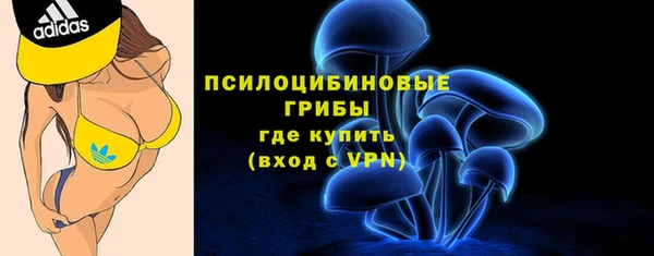 крисы Армянск
