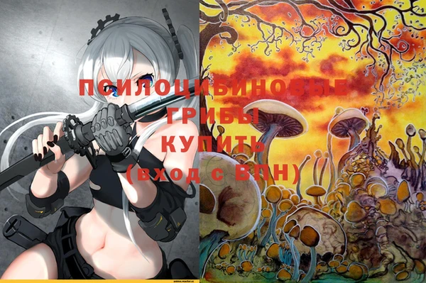 стафф Аркадак