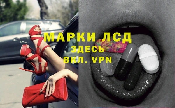 стафф Аркадак