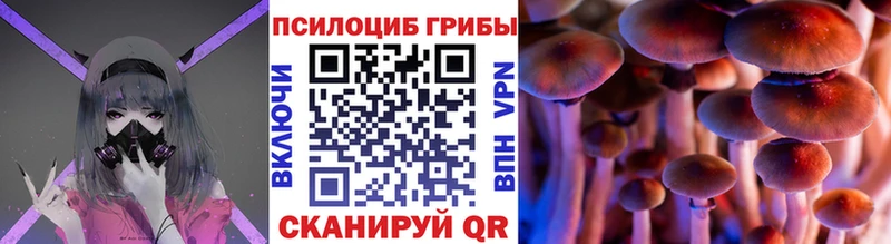 ОМГ ОМГ ТОР  магазин    Суровикино  Псилоцибиновые грибы Magic Shrooms 